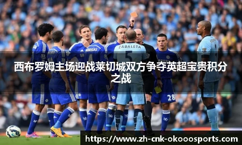 西布罗姆主场迎战莱切城双方争夺英超宝贵积分之战